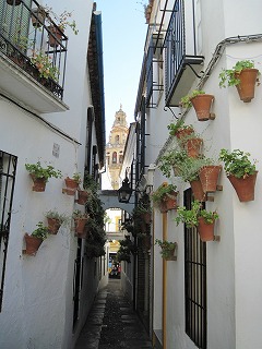 20090724_053