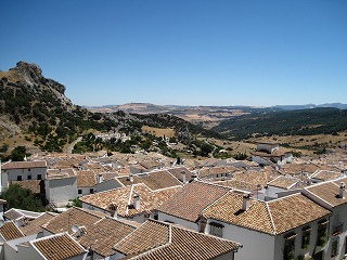20090731_047