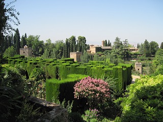 20090804_162