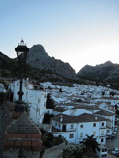 20090730_082