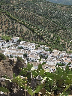 20090729_146