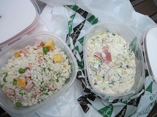 20090624_032