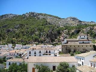 20090731_086