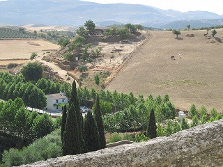 20090729_036