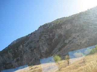 20090730_057
