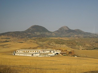 20090729_007