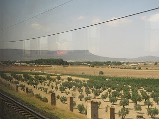 20090806_018