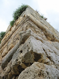 20090809_023