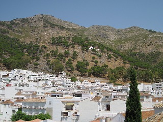 20090727_050