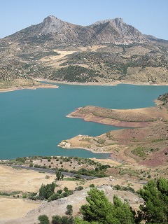 20090729_111