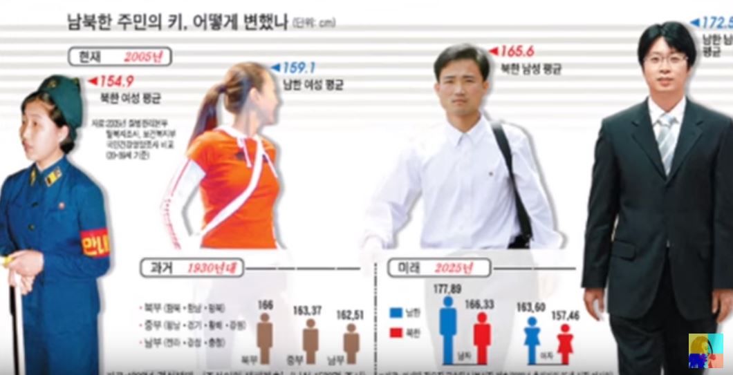 海外 これが韓国人の平均身長か 李氏朝鮮時代 現在まで 韓国人の平均身長の進化をご覧ください 海外の反応 世界の憂鬱 海外 韓国の反応