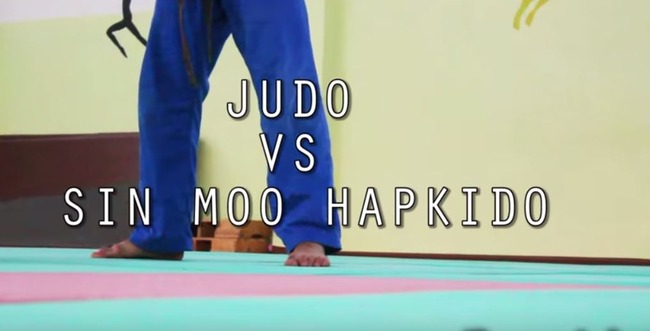 柔道VSハプキドー