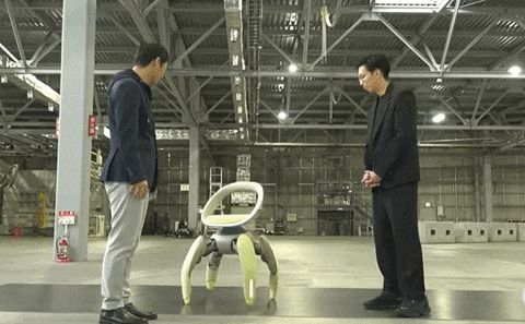 6e15da7d1-ezgif.com-optimize (8)