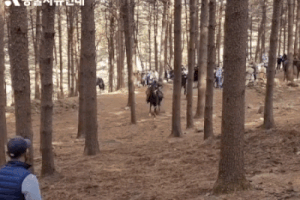 ezgif.com-gif-maker - 2022-01-22T180407.053