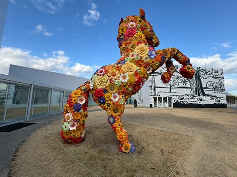 LINE_ALBUM_八戸ひとりたび_251124_4