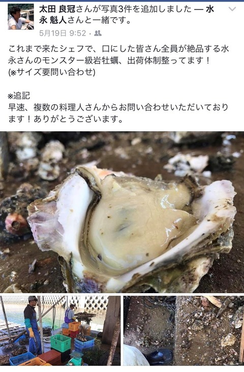 岩牡蠣①