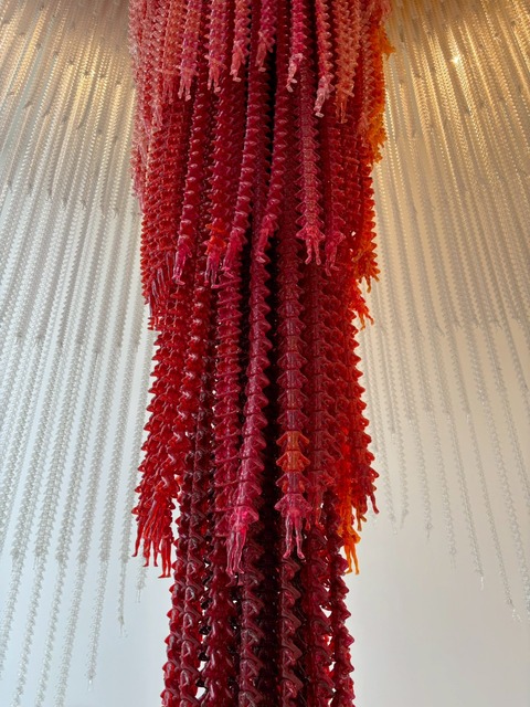 LINE_ALBUM_八戸ひとりたび_251124_6