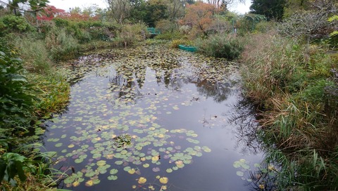 奈良、比叡山_181010_0009