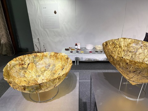 632535224_25488191190863066_4535584784655102803_n