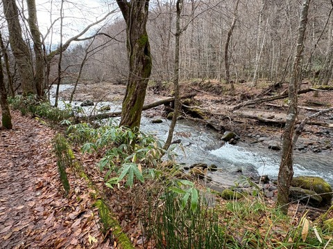 LINE_ALBUM_八戸ひとりたび_251124_8