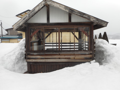 DSCN0848