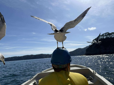 554314107_1488961098975098_7424133966926623498_n