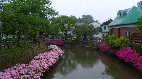 IMGP2074