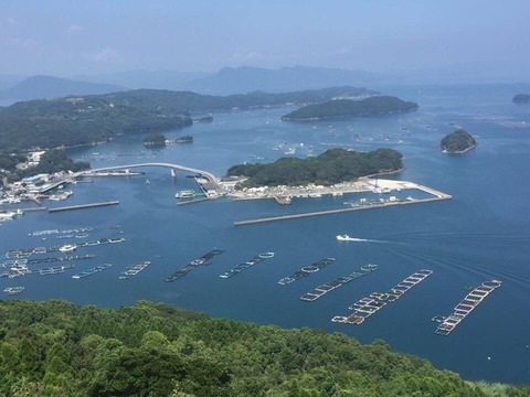 14568920_509432755931667_1104505975_n