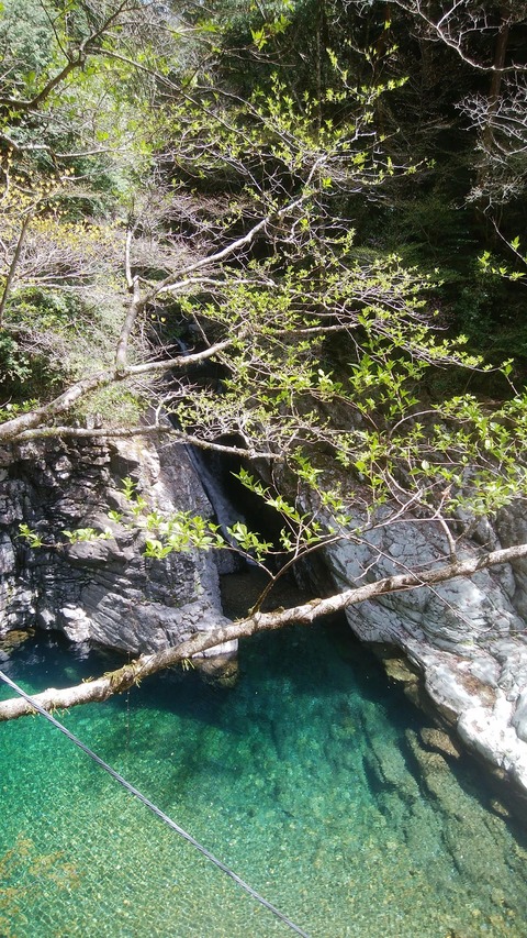 30688520_1522045611237626_9028945107952336896_n