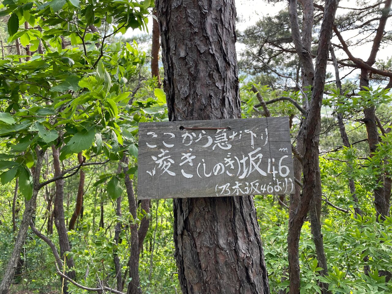 美楯山海一郎