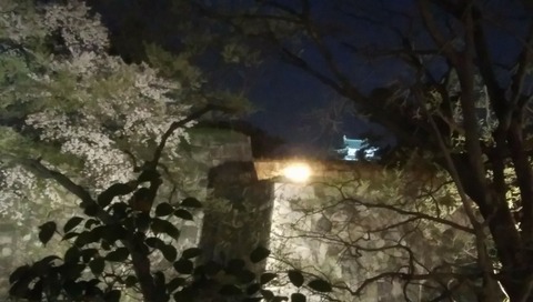 29994230_1510380195737501_1348803136_o