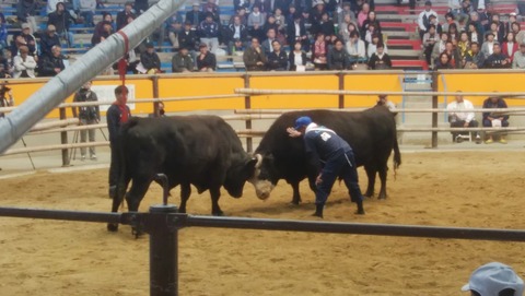 44939473_1932361406818835_8347551737602637824_n