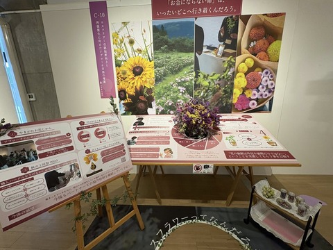 631013582_25488190960863089_3697243963407769967_n