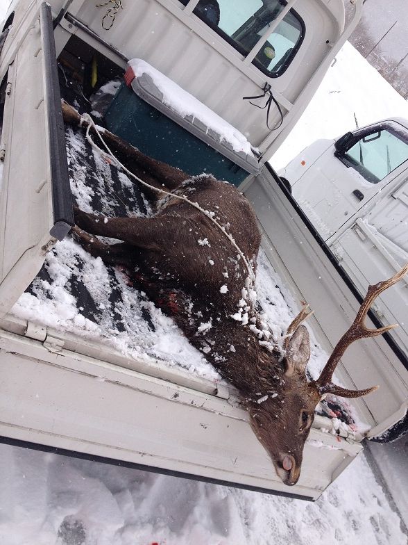 寄稿 僕の狩猟体験 シカと私と信州で 田中佑典氏 井上貴至の 地域づくりは楽しい