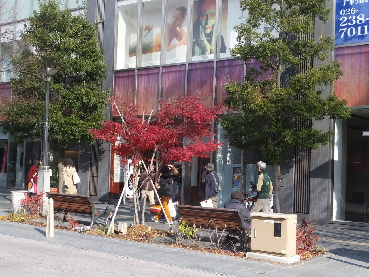 2キロ賑わう商店街〜長野中央通り(善光寺表参道)に学ぶ居心地のいい場づくり 井上貴至の「地域づくりは楽しい」 2キロ賑わう商店街〜長野中央通り(善光寺表参道)に学ぶ居心地のいい場づくり 井上貴至の「地域づくりは楽しい」