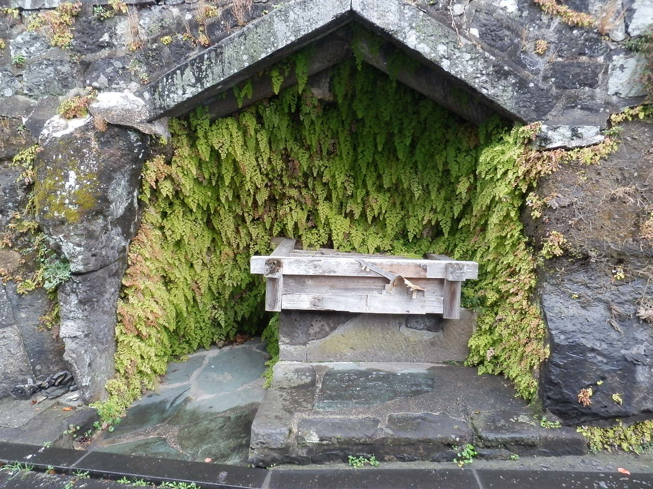 種まく旅人 みのりの茶 の感想 俺は泥つきの官僚になる 井上貴至の 地域づくりは楽しい 種まく旅人 みのりの茶 の感想 俺は泥つきの官僚になる 井上貴至の 地域づくりは楽しい