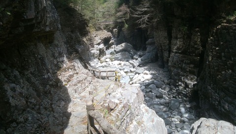 30703900_1522045377904316_8438993597084205056_n