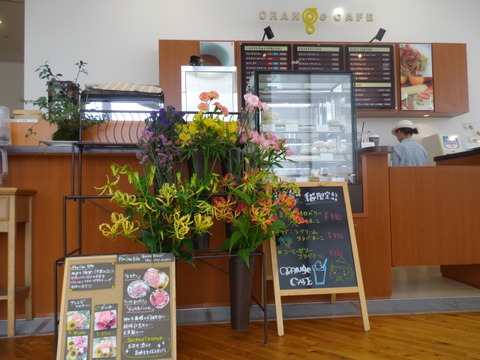 IMGP2377