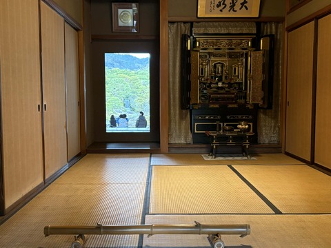 6518a269-44e4-4d9d-a109-85268cacef1c