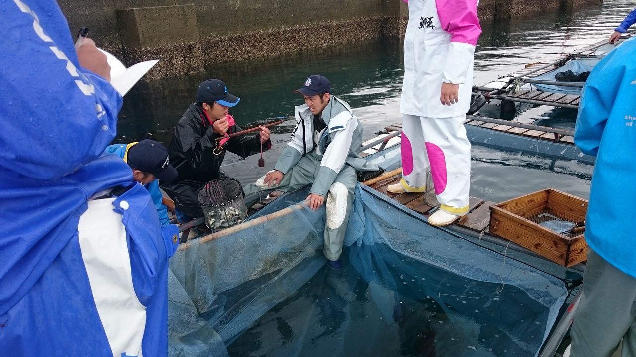 世界一のブリ「鰤王」の知られざる職人芸 : 井上貴至の「地域づくりは楽しい」