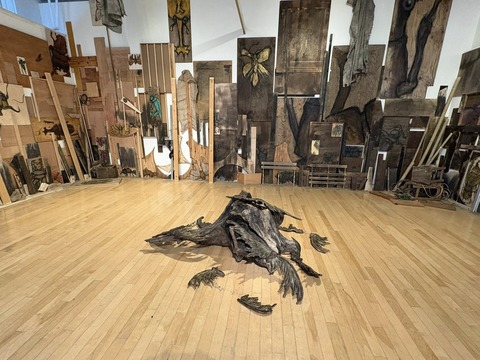 633549378_25488190277529824_8635688659089952247_n