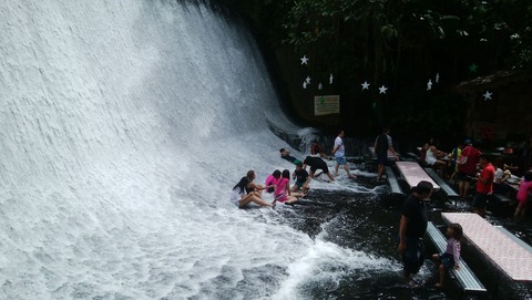 49496956_356665768468319_622839969534181376_n