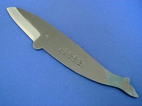 51aReywIx0L