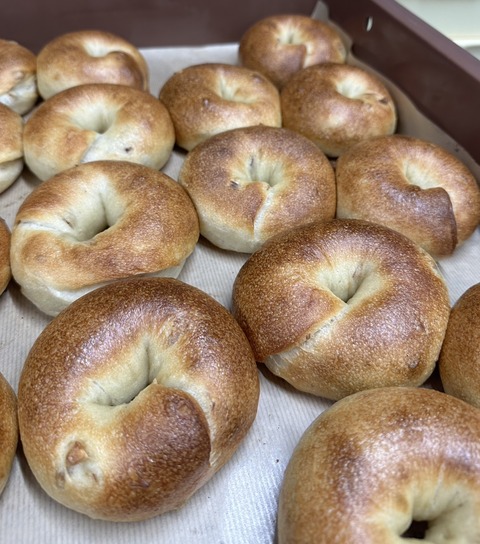 line_oa_chat_260205_114922