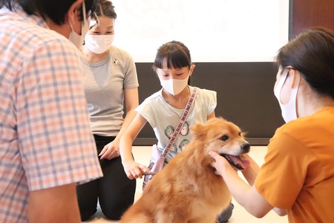 ハッピードッグチーム 20200719 IMG_6043