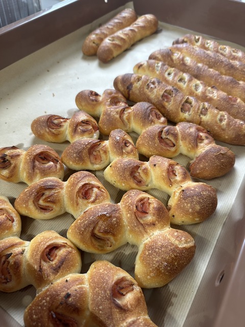 line_oa_chat_260205_114909