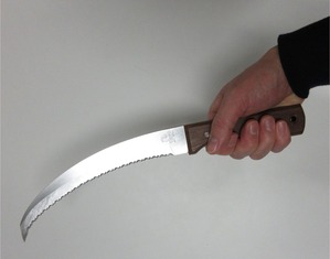 収穫鎌持った感じ 縮小 - コピー