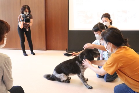 ハッピードッグチーム 20200719 IMG_6046