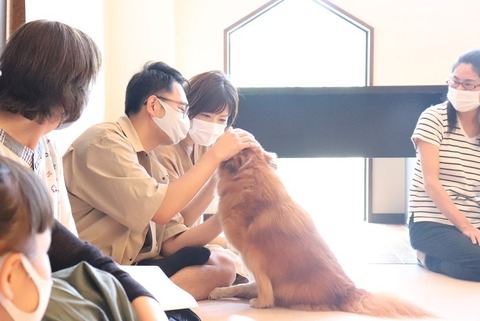 ハッピードッグチーム 20200719 IMG_6009