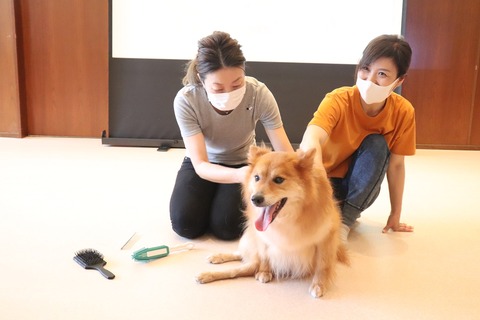 ハッピードッグチーム 20200719IMG_6039